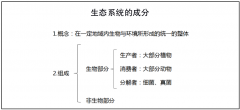 【教资面试备考】初中生物-《生态系统的成分》